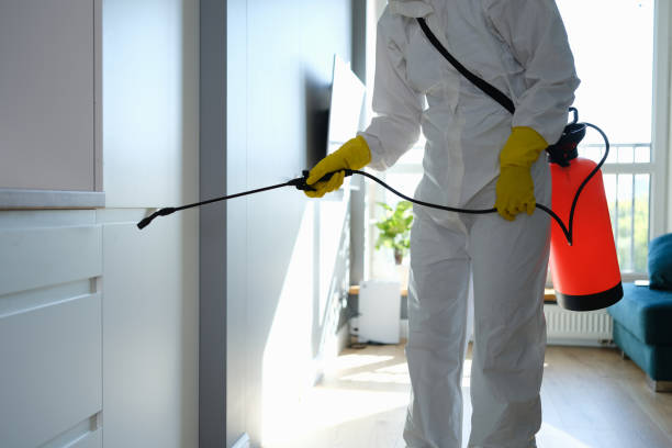 Trusted Arlington, OH Mold Removal Experts