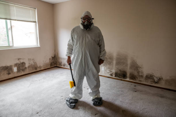 Best Crawl Space Mold Removal  in Arlington, OH